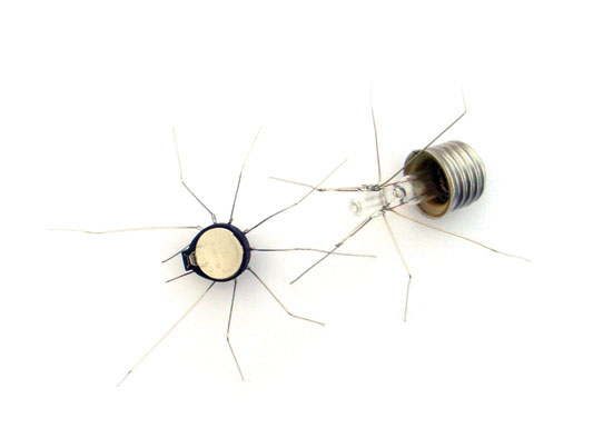 bichos de luz
